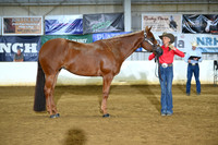 AJB_4618