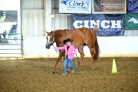 Youth Aged Mares