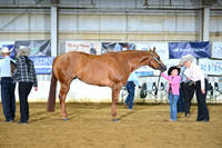AJB_4549