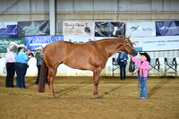 AJB_4556