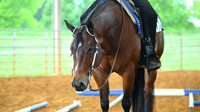AJB_4638