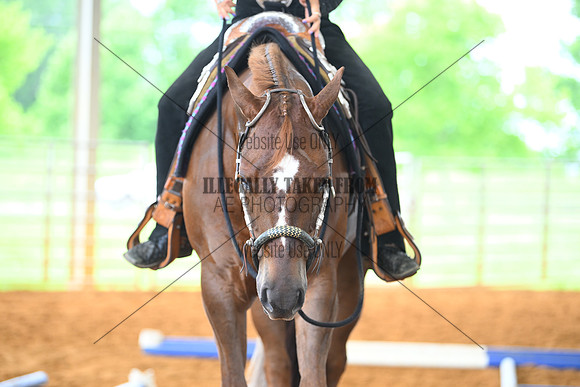 AJB_4818