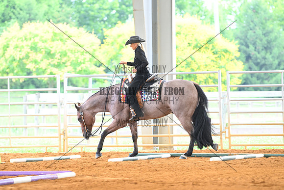 AJB_4686
