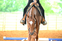 AJB_4853