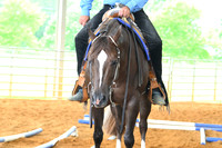 AJB_5588