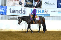 AJB_6188