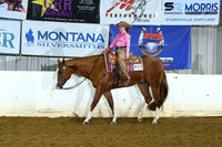 All Breed Walk Trot WP