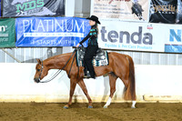 Level 1 Amateur Walk Trot WP