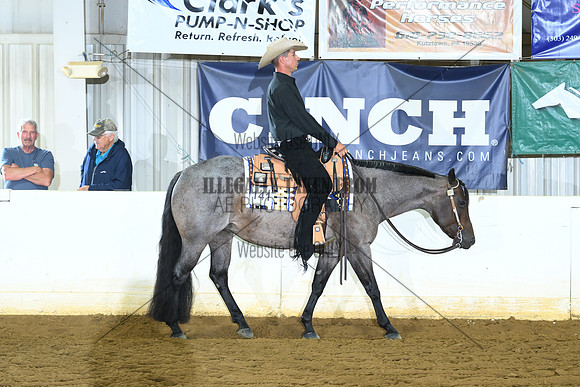 AJB_6537