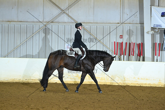 AJB_8884