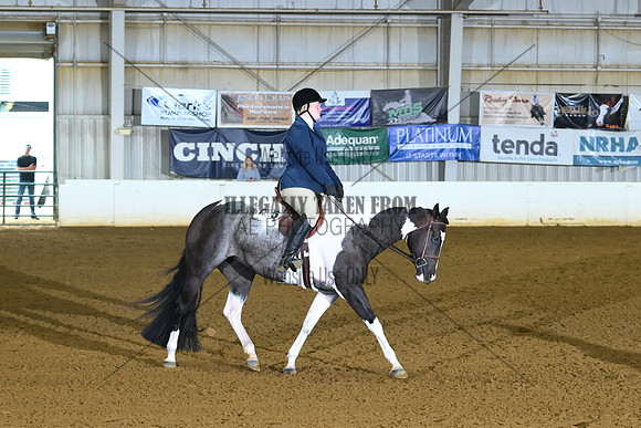 AJB_8395