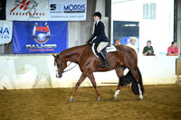 All Breed Hunter Under Saddle
