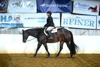 Amateur WT Hunter Under Saddle