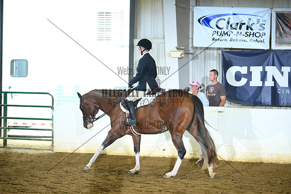 AJB_8018