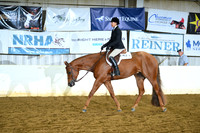 Lvl 1 Amateur Select Hunter Under Saddle