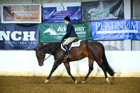 Senior Hunter Hunter Saddle