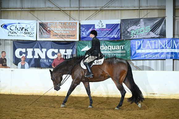 AJB_8356