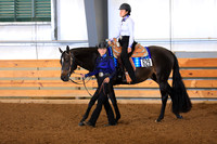 EWD Western Pleasure
