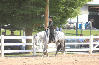 Lvl 1 Green Western Pleasure
