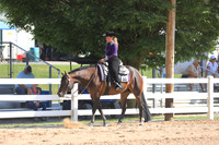 Select Amateur Western Pleasure