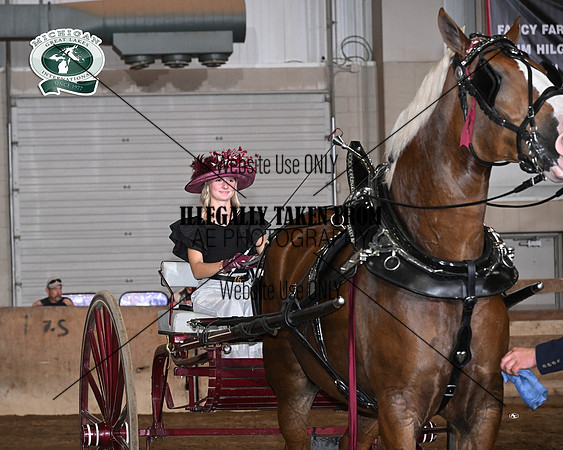 mgm_4190