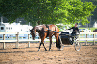 AJB_0257