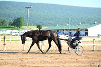 AJB_0256
