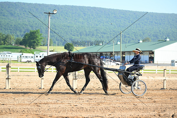 AJB_0256