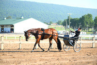 AJB_0259