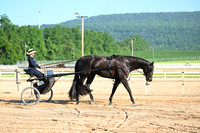 AJB_0261