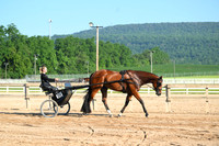 AJB_0264