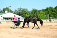 AJB_0266