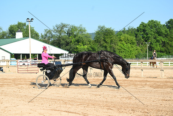 AJB_0266