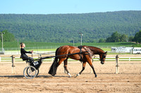 AJB_0265