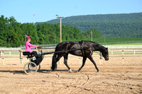 AJB_0267