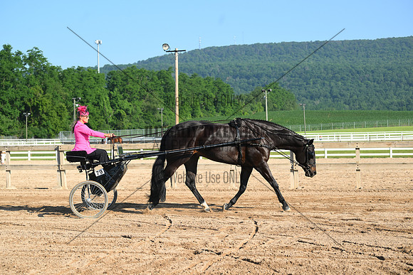 AJB_0267