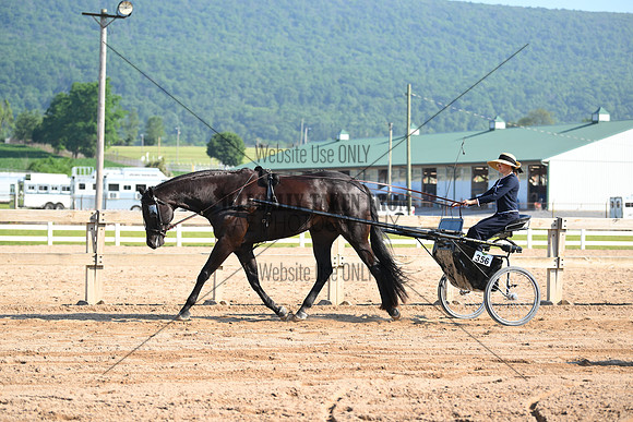 AJB_0317