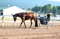 AJB_0217