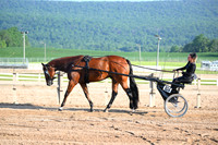AJB_0219