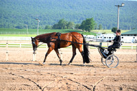 AJB_0218