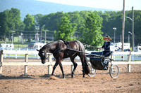 AJB_0221