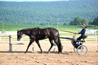 AJB_0223