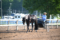 AJB_0224