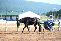AJB_0226