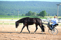 AJB_0227