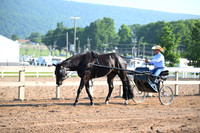 AJB_0233