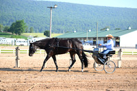 AJB_0234