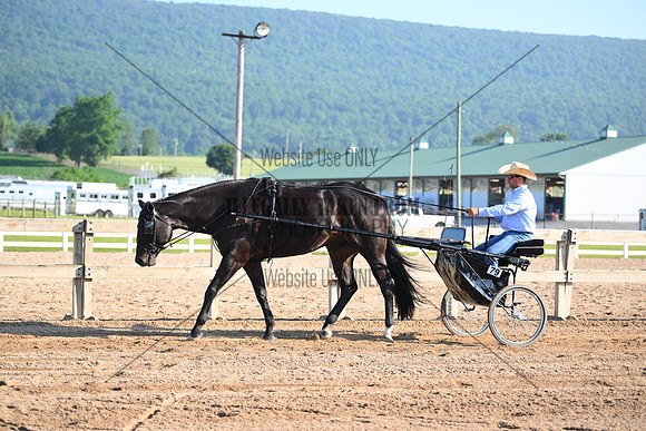 AJB_0234