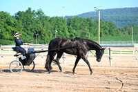 AJB_0236