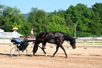 AJB_0238